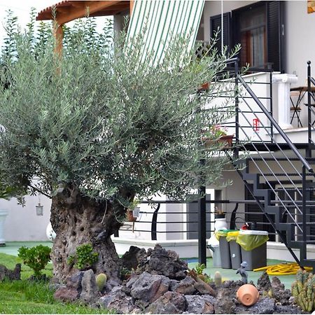 Bed and Breakfast Pompei Gryllus Екстер'єр фото