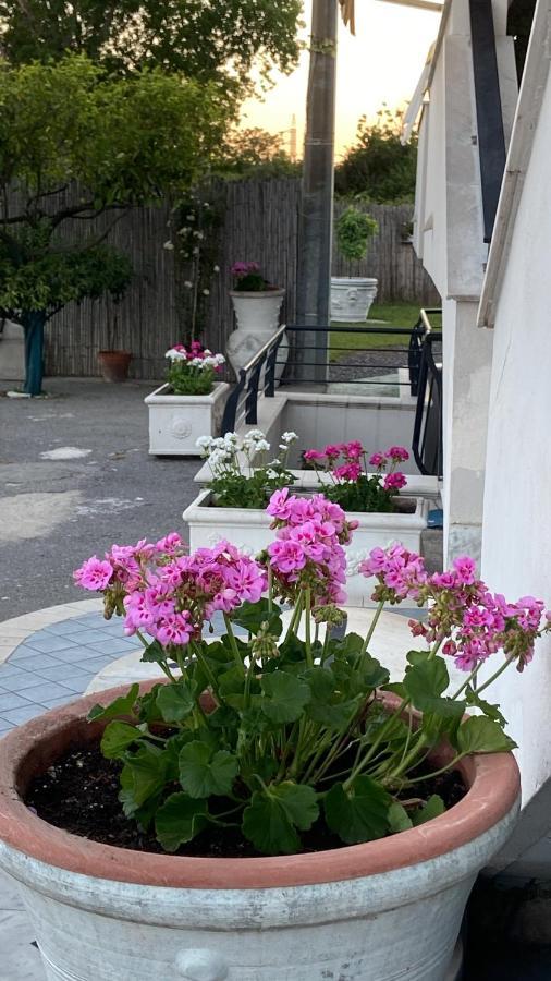 Bed and Breakfast Pompei Gryllus Екстер'єр фото