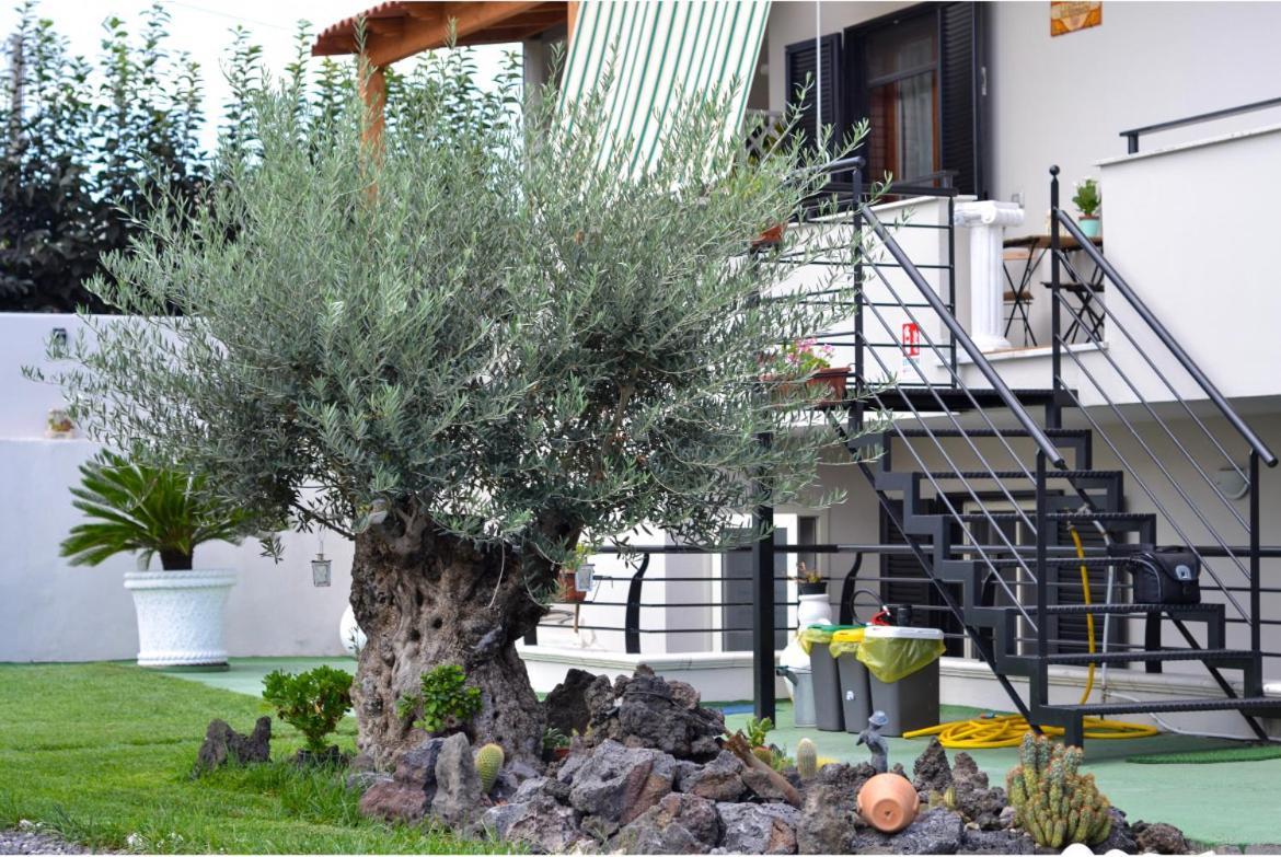 Bed and Breakfast Pompei Gryllus Екстер'єр фото